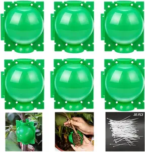 Reusable Plant Rooting Ball, Plant Propagation Root Ball Effective Invisible Propagation(Green, 6PCS)