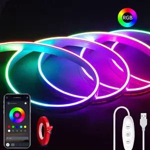 SEGRASS RGB Neon Rope Lights - 5V LED Lights with Remote & App Control, Music Sync, Flexible DIY Design for Bedroom, Party Decoration, Remote Control