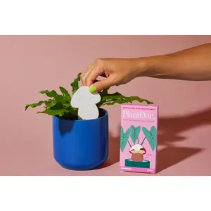 PlantDoc Mushroom! Biodegradable Color-Changing Moisture Meter for Plants, 5-Pack