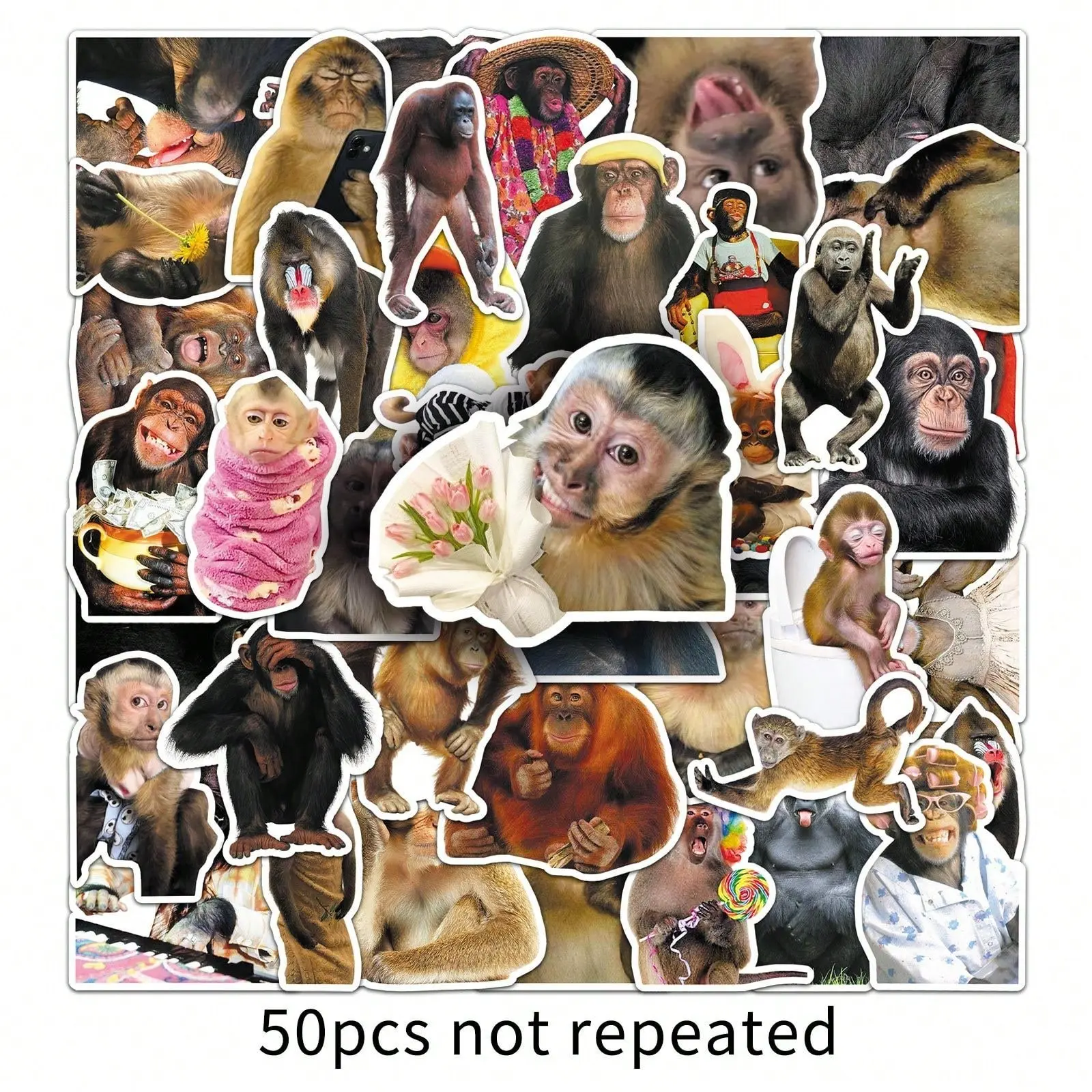 50 Monkeys Themed Stickers, Illustration Stickers, Featuring Funny Poses and Expressions of Cartoon Monkeys, Wild Gorilla Sticker Set, Suitable for DIY Decoration on Notebooks, Laptops, Water Bottles, Phones, and More. Safe, BPA-Free PVC