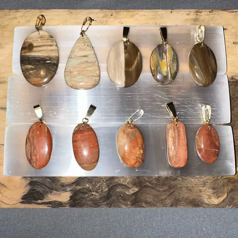 Petrified wood pendant