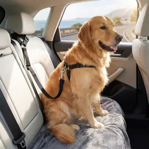 Dog Car Seat Belt | Adjustable Safety Leash with Elastic Buffer for Small, Medium & Large Dogs