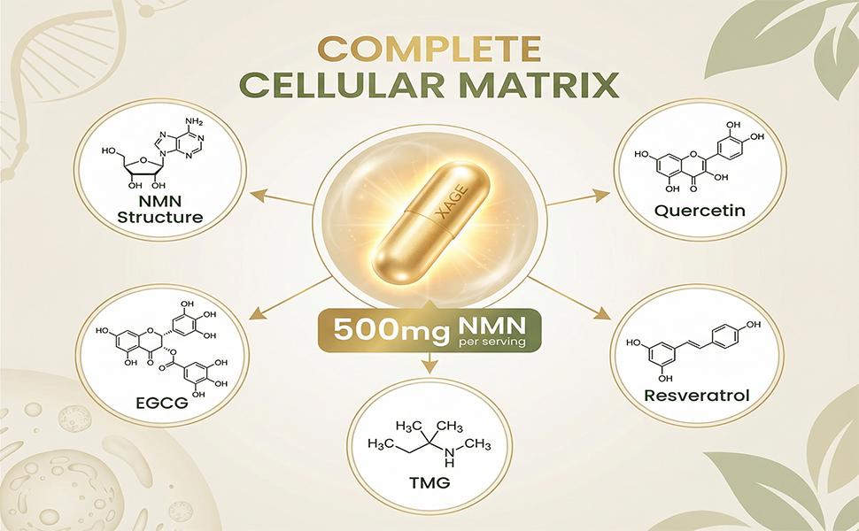 XAGE Cellular NMN 500mg Capsules - Cellular Energy & Healthy Aging Support, Antioxidant Blend