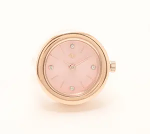 Fire Light Lab Grown Diamond .04 cttw Ring Watch Stainless Steel