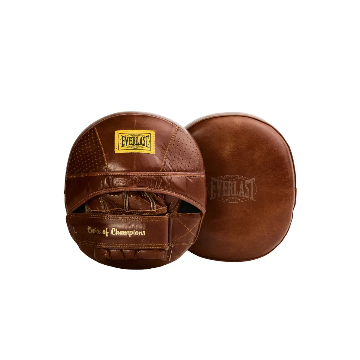 Everlast 1910 Pro Air Core Focus Mitts