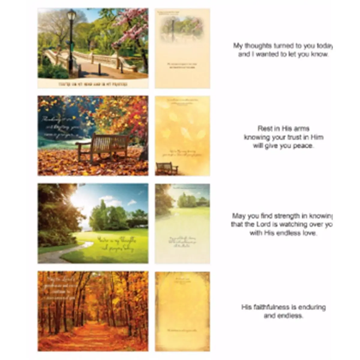 Crown Point Graphics Assorted Shared Blessings Thinking of You Pathways Boxed Cards - Full Color Interior, KJV Scriptures, No Extra Postage Required, 12 per Box, CPC Primary, CPC Sub