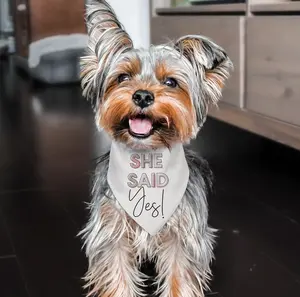 Custom She Said Yes Colorful Dog Bandana Scarf