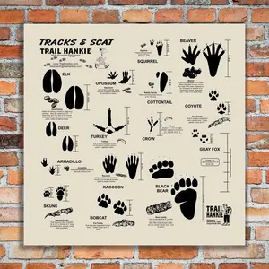 Tracks & Scat Trail Hankie Bandana for Hiking and Camping