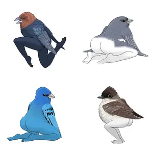Precise Bird Stickers for Expert Birders (4-Pack) - 2025 Edition