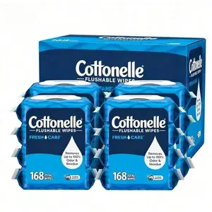 FRESH CARE FLUSHABLE WET WIPES – 2 FLIP-TOP PACKS