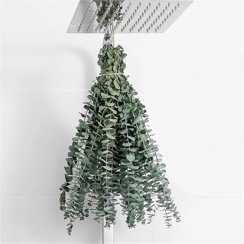 10 Pcs Dried Eucalyptus Stems 17" Real Eucalyptus for Shower Hanging 100% Made from Fresh Eucalyptus Leaves, Wedding Decor Home Decor Farmhouse Decor DIY Spring Decor,Green. Dried Flowers
