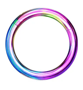 Rainbow PVD Titanium Hinged Segment Ring