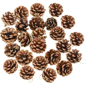 24 count Christmas  Pine Cones, Rustic Pinecones Bulk Ornaments with Rope for  Accent Decor, Fall Thanksgiving Tree Decoration Harvest Autumn Party Craft Accessory Decorations