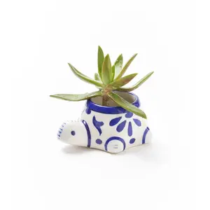 Lalita Baby Turtle Mini Succulent Planter - White, Blue Hand Painted by Matr Boomie