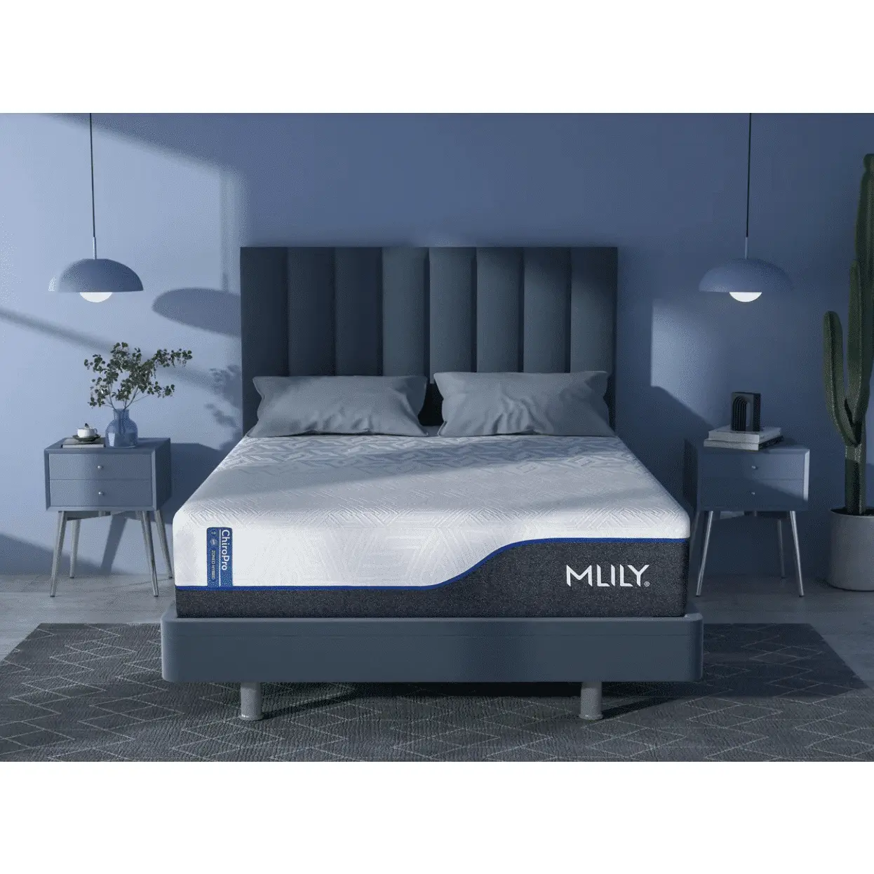 Mlily ChiroPro 1.0
