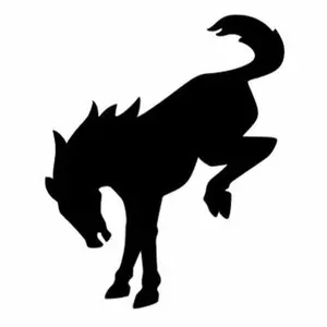 Bronco decal