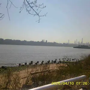 review image 6