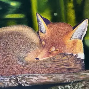Ruby the Sleeping Beauty  - Red Fox Fine Art Prints