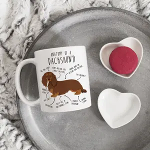 Chocolate and Tan Longhaired Dachshund Coffee Mug, Cute Pet Brown Weiner Dog Gift, Funny Sausage Dog Lover, Dachshund Mom, Doxie Dad