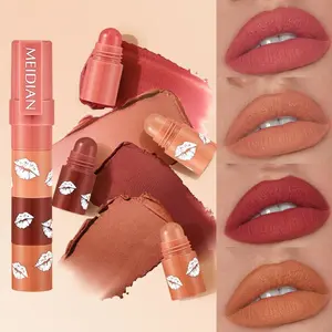 MEIDIAN Four-color Velvet Matte Crayon Lipstick Set - Rich Color Rendering Mousse Texture Delicate Silky Snug Comfortable 4-in-1 Bottle Gloss Lipgloss Makeup Cosmetic Smooth Blend Glossy 01#