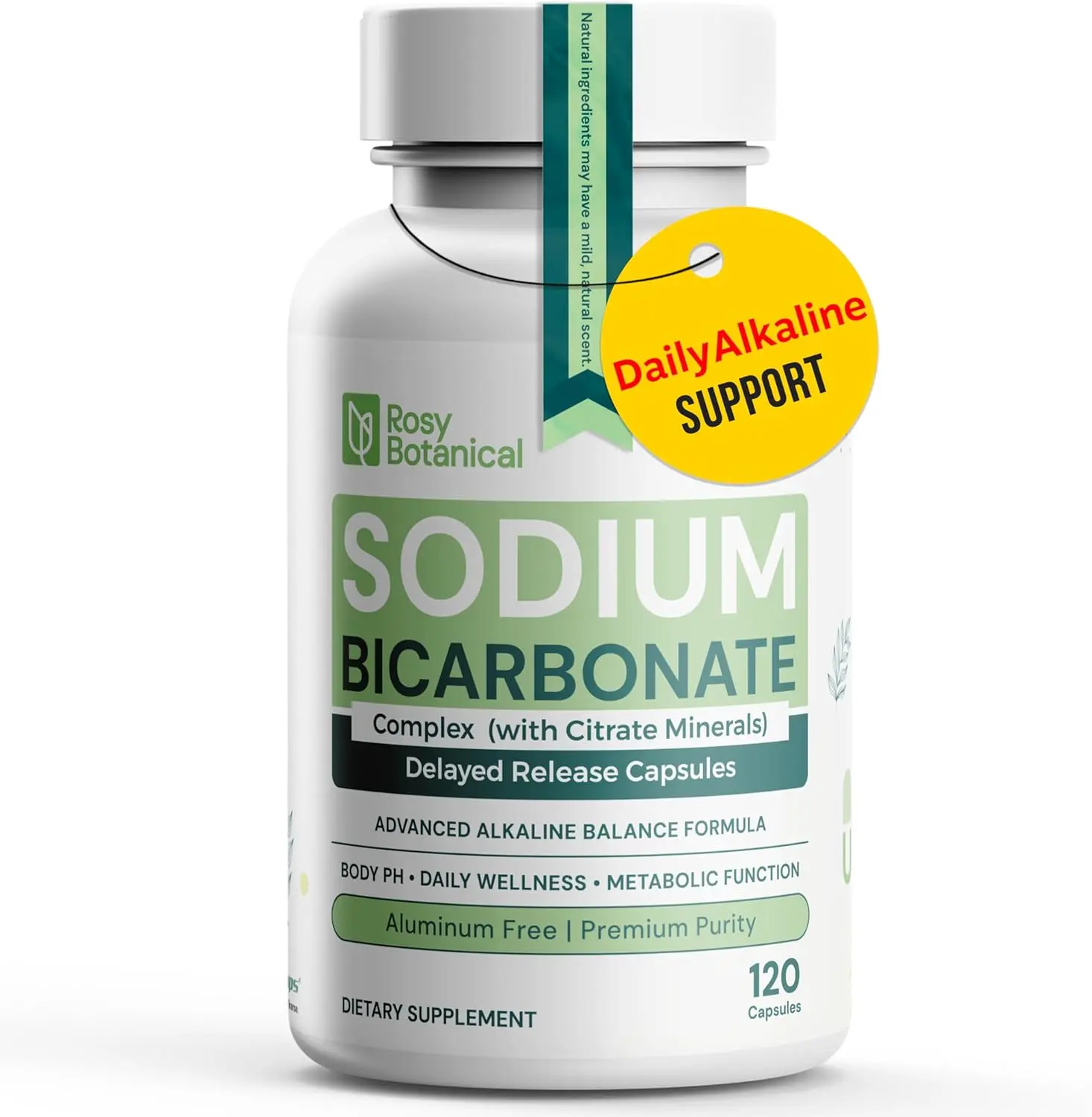 Aluminum Free Sodium Bicarbonate Capsules for Synergistic Alkalization, Body PH Support with improved Absorption & Mineral Support, Bicarbonato De Sodio, Delayed Release 120 caps