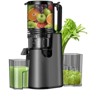 5.4 Inch Wide-Chute Slow Masticating Juicer, Cold Press Juicer – 99% Juice Yield, High Nutrient Retention, Easy to Clean & Assemble #TikTokShopBlackFriday