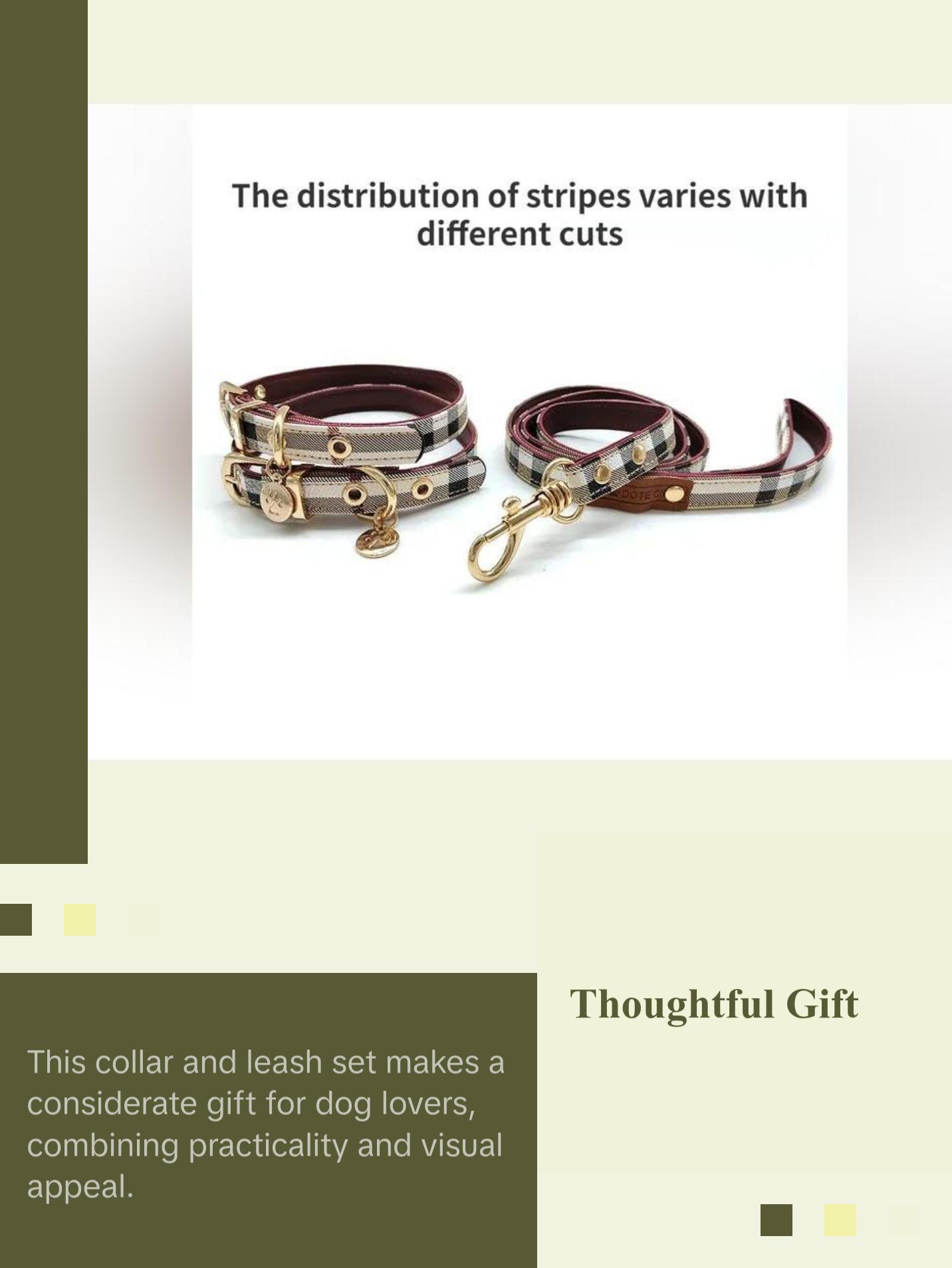 Leather Pet Collar and Leash Set