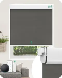 Allesin Motorized Blinds No Drill Automatic Roller Shades with Remote | Rental-Friendly & Easy Install Smart Electric Blackout Window Blinds for Apartment