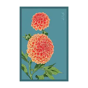 Dahlia Flower Seeds Packet