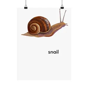 snail