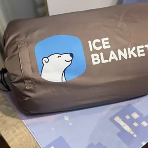 Product Review of The Ice Blanket from D**a {**}