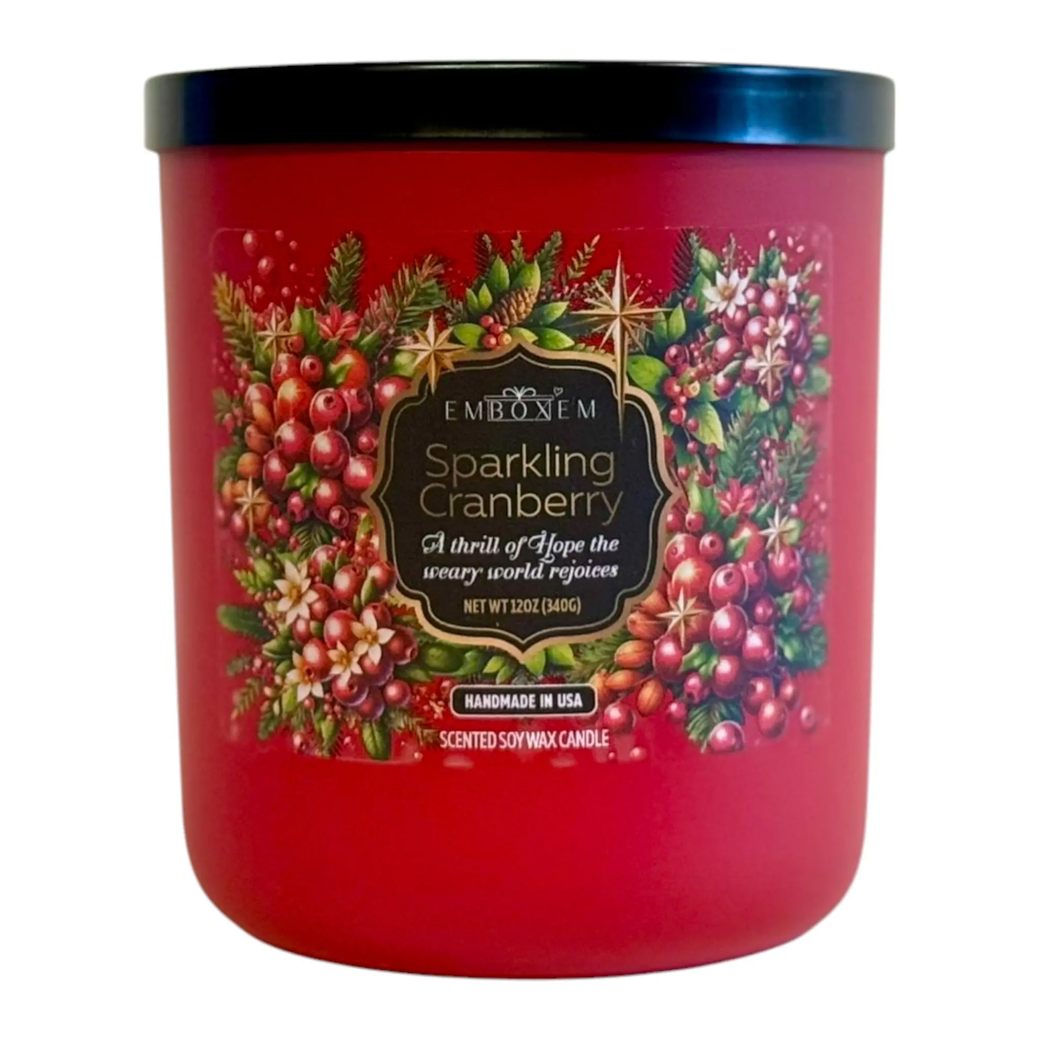 Sparkling Cranberry Scented Soy Wax Christian Candle 12oz
