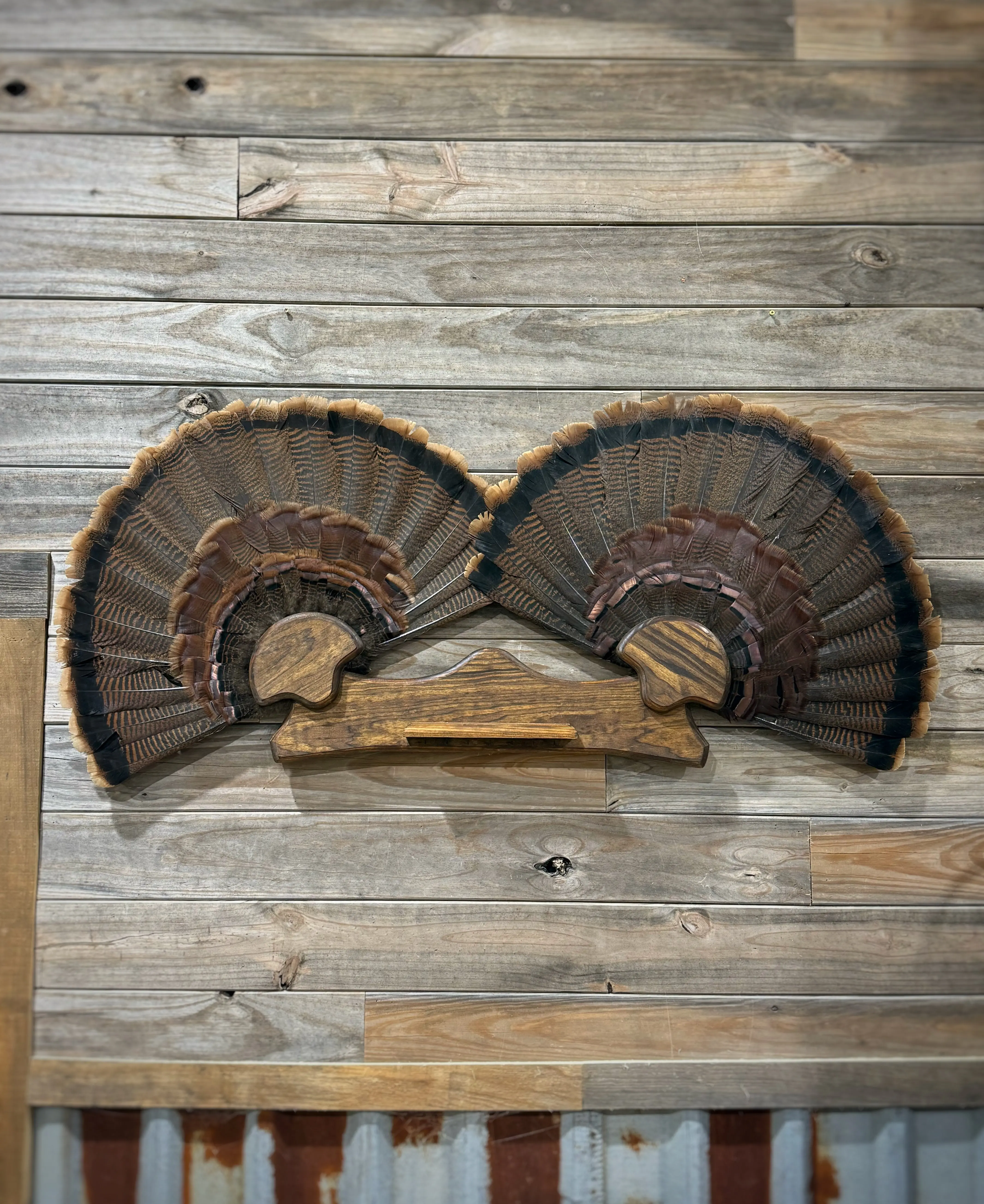 Double Fan Mount (w. Shelf & 7 beard/spur hooks)