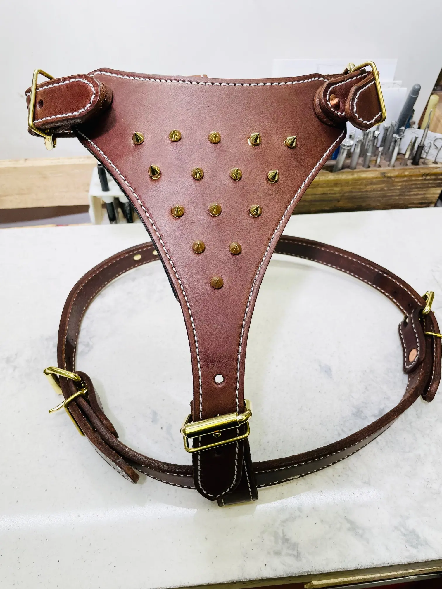 Dog Harness