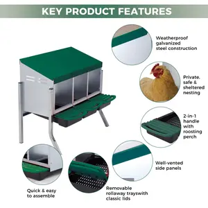 Rollaway Chicken Nesting Boxes with Compartments, Wall-Mounted or Freestanding Design Metal Egg Laying Box for Poultry Coops, Removable Trays for Easy Collection, 4 Colors Available
