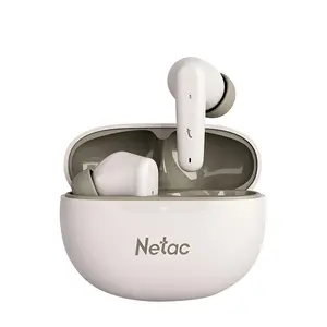 NETAC Wireless Earphone, Noise Cancelling Earbuds with USB to Type C, Lightweight Wireless Headset with Mic, Compatible with iPhone Android, Audio