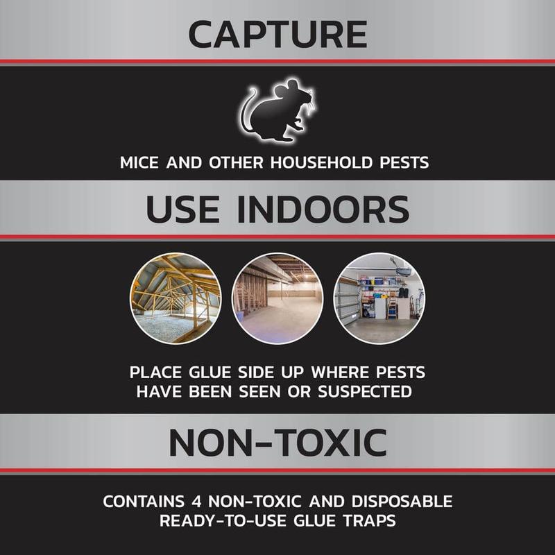 Mouse Glue Traps Non-Toxic (4-Count)