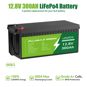 PUJIMAX 12.8V 300Ah LiFePO4 Battery - Ultra High Capacity for Solar/Marine/RV Systems
