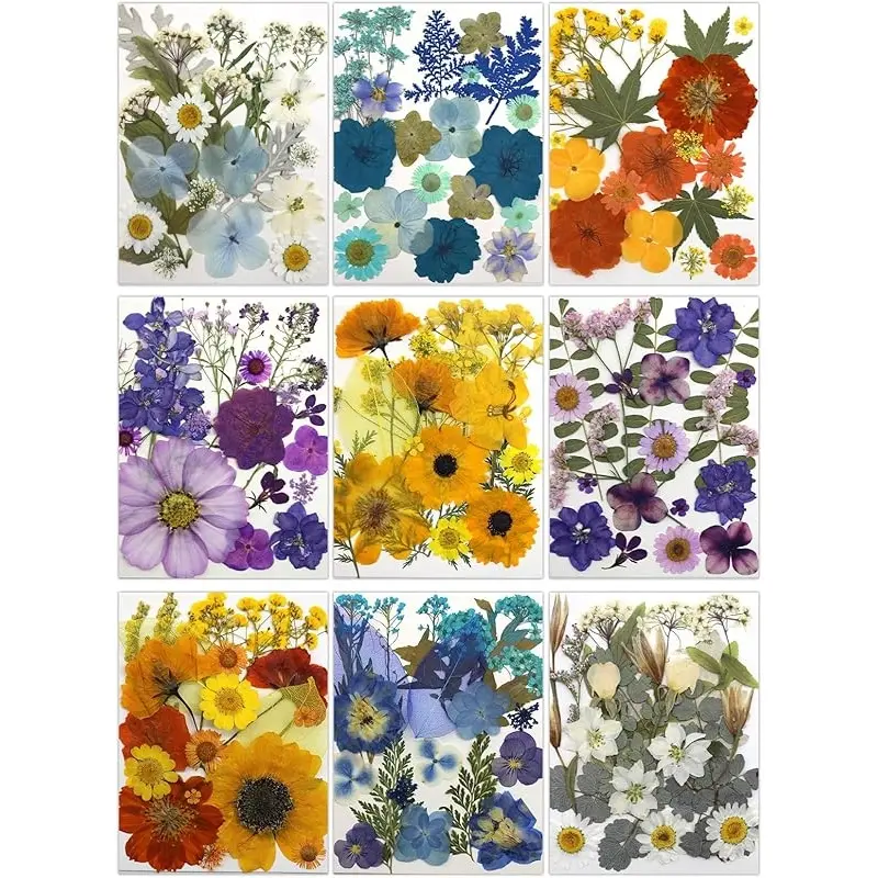 9 Color