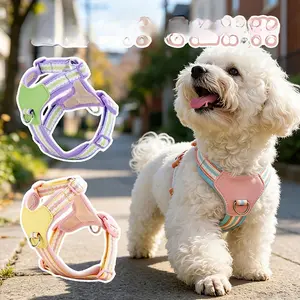 Dog Harness and Leash Set for Small Breeds, Pet Chest Strap Walking Gear for Daily Outdoor Outings