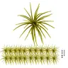 FONMANG Sea Urchin Soft Plastic Lures - Fishing Equipment Lures, Multi-Size Artificial Fishing Lures (1.5/2.7/3.5/4.3/5.1in) Creature-Shape Dice Baits with Rubber Legs, Fuzzy for Freshwater Bass