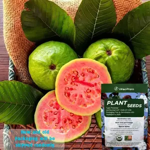 Guava seeds, suitable for potted plants, greenhouses and outdoor gardens, easy-to-cultivate fruit tree seeds.
