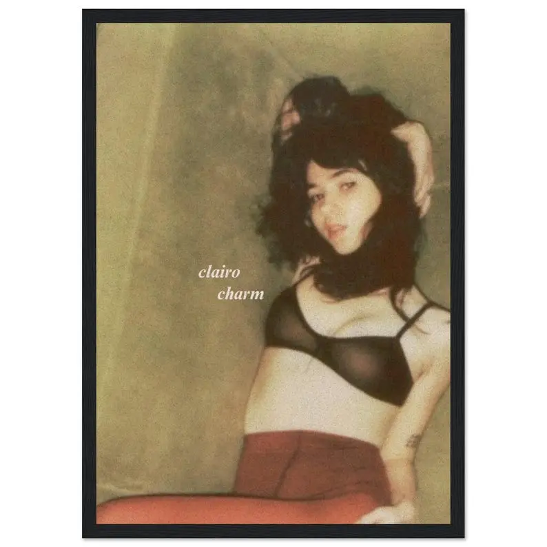 Clairo Artistic Classic Paper Poster - Unframed, Bordered, Multi-Size (12x18in, 16x24in, 17x17in, 24x24in, 27x40in) Rustic Indoor Wall Decor for Living Spaces, Bedrooms