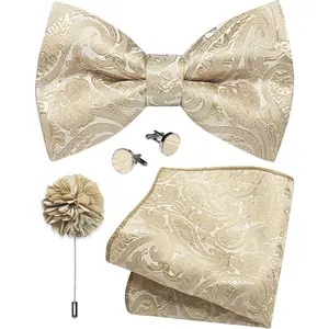 Paisley Bow Ties for Men Pretied Silk Bowties Woven Pocket Square Lapel Pin Cufflinks Wedding Business Tuxedo 4PCS
