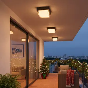 LED Waterproof Ceiling Light for Villa Garden Courtyard Balcony Outdoor Corridor Humid-Proof Gate Yard Ceiling Lamp Modern Mood Lighting