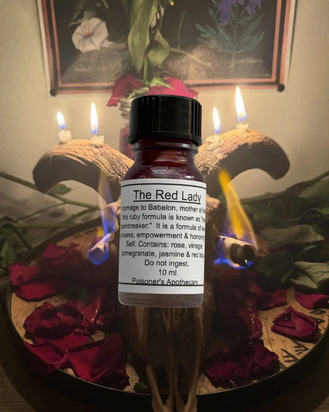 The Red Lady Oil
