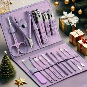16-Piece Stainless Steel Manicure Kit, Includes Nail Clippers, Brow Trimmer, Pimple Tool, Ear Spoon, Pedicure Tools, Professional Travel Beauty Set, Nail Care Product, Nail Cutter