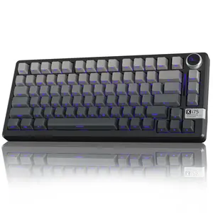 SOLAKAKA KI75 Wireless Gaming Keyboard, 75 Percent Mechanical Keyboard, Aluminum Gasket Hot Swappable Switches, Side-Printed RGB Backlit Custom Keyboard with Knob, Tri-Mode 2.4GHz/USB-C/BT 5.0 for PC FallFreshness