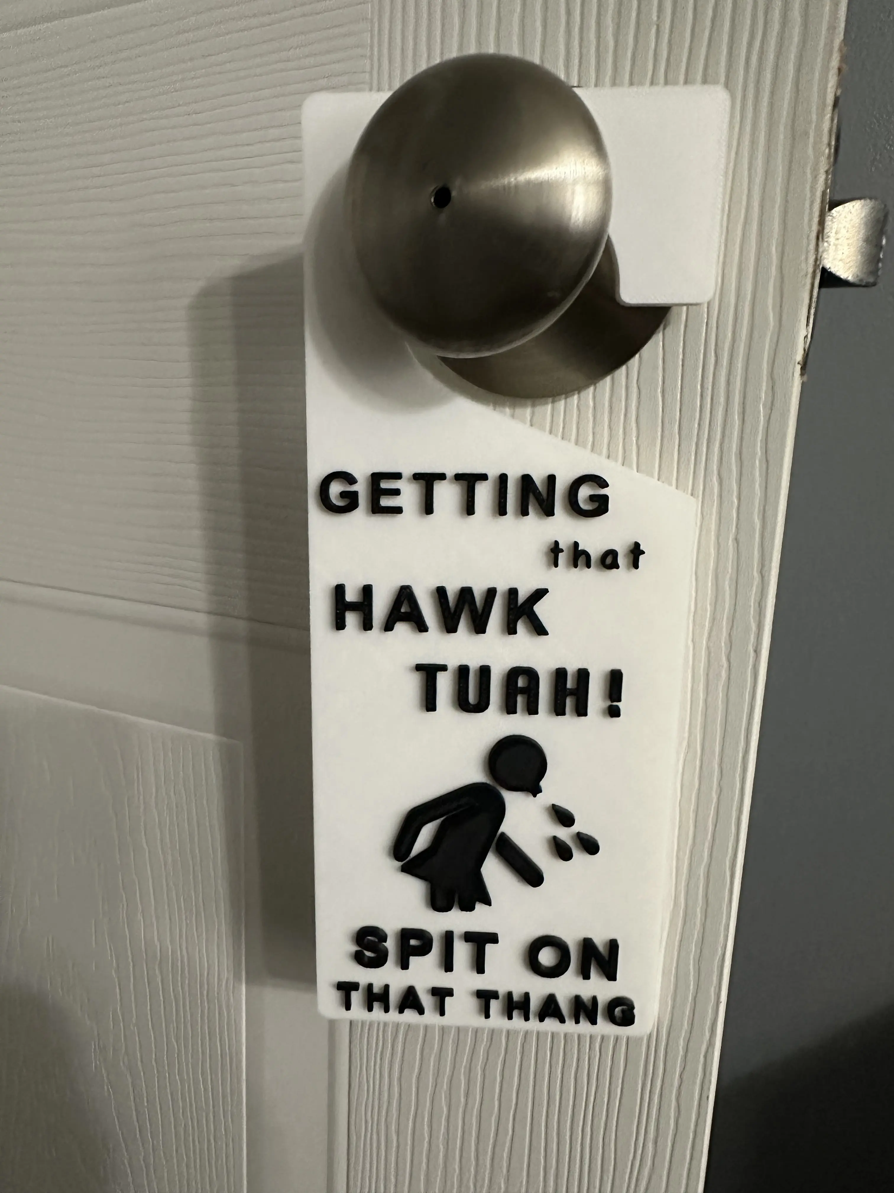 3D Printed Hawk Tuah! Door Tag, Funny Spit on That Thang Design, Home Decor Door Accessory for Home Supplies, Door Decor