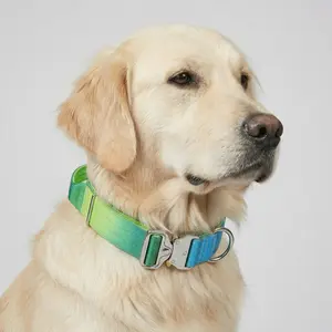 Vibrant Green Ombre Tactical Dog Collar with Handle - Heavy Duty Anti Pull K9 Training Gear with Quick Release Metal Buckle for Large Dogs, Golden Retriever, Lab - Outdoor Hiking Collar